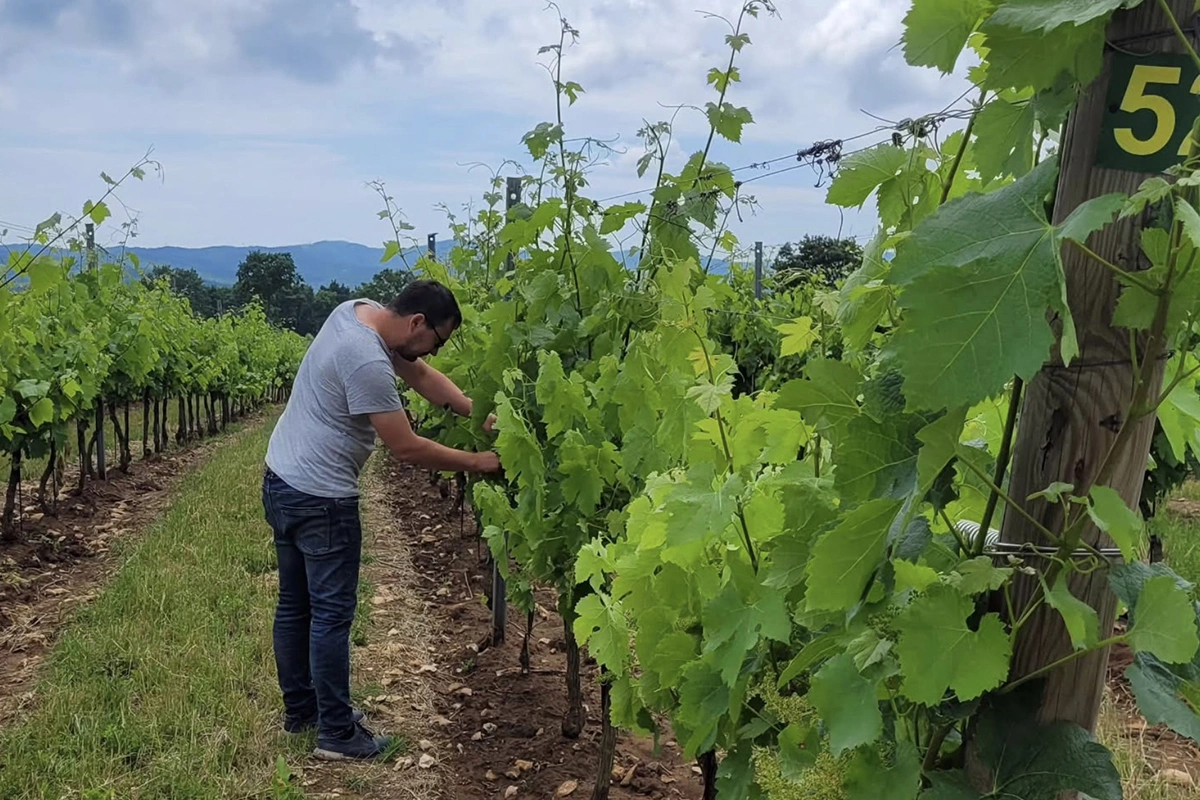 @gunkowinery / Instagram (входит в корпорацию Meta, признана экстремистской и запрещена в России)