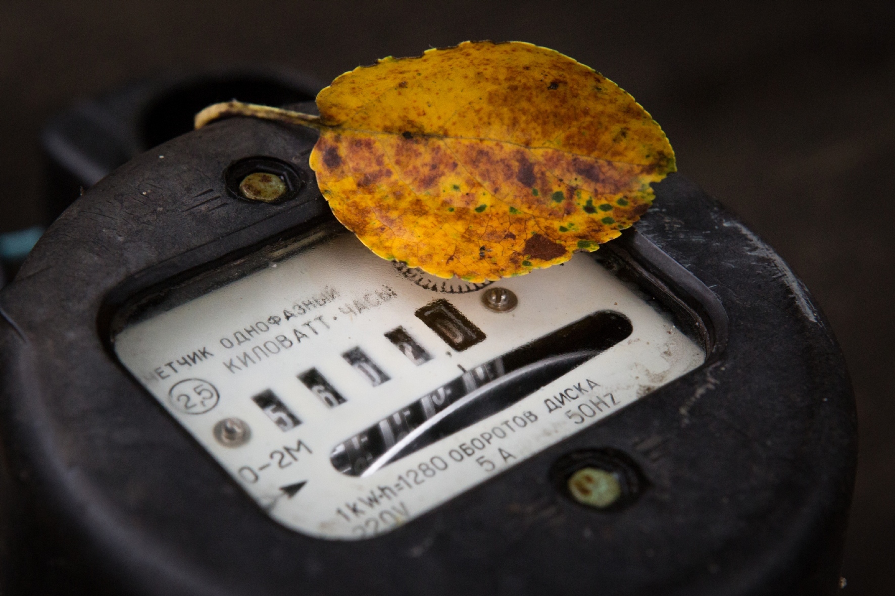 Фото: PhotoXPress.ru