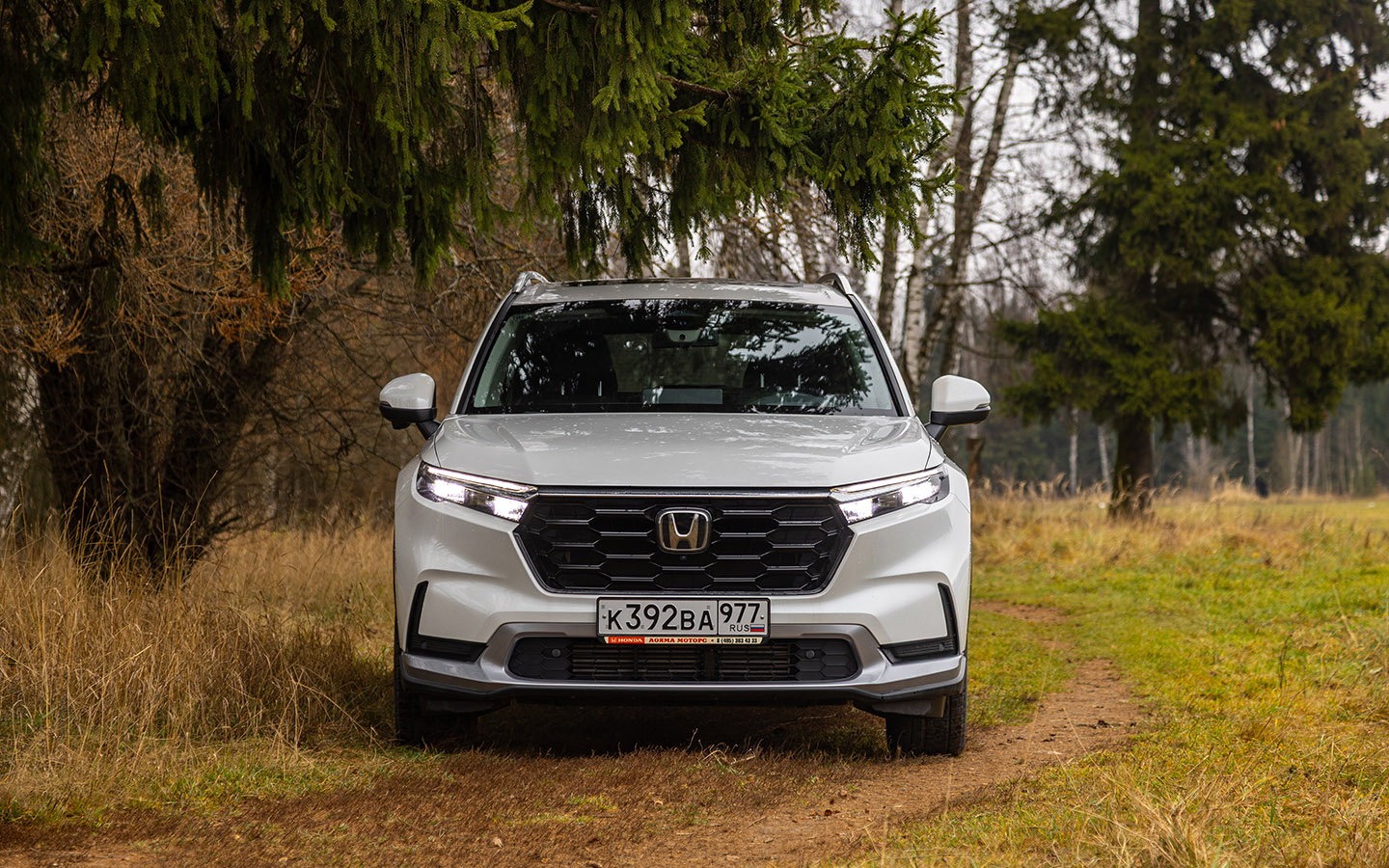 Светодиодная оптика, как и люк с электроприводом для передних рядов, есть&nbsp;на всех комплектациях Honda CR-V, а за управление дальним светом в двух старших версиях&nbsp;отвечает электроника