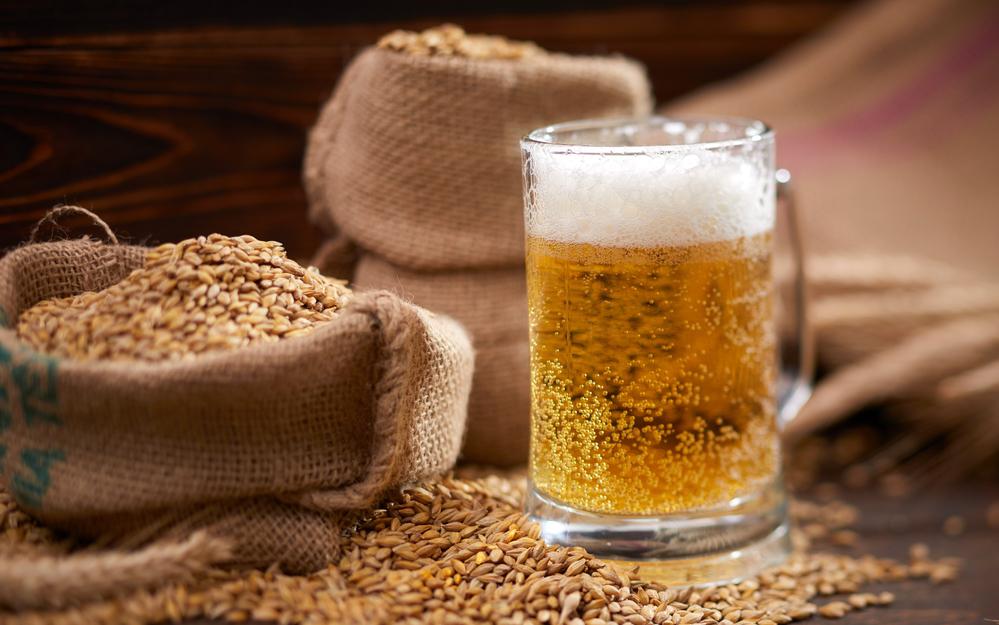 Фото: Shutterstock