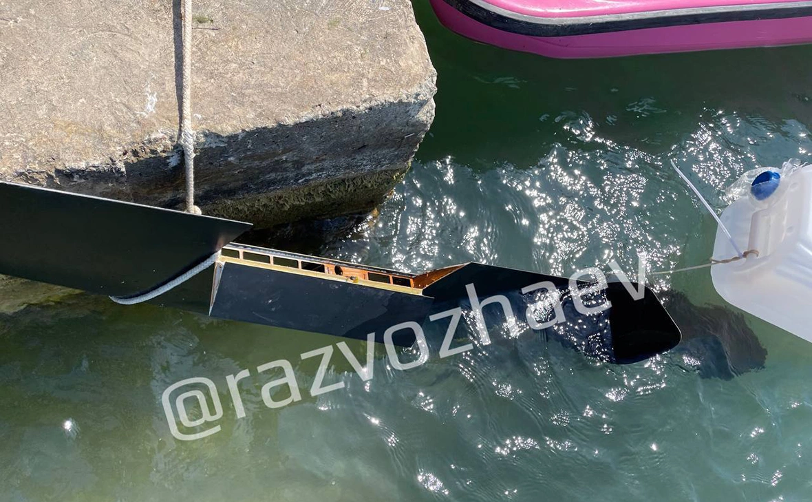 razvozhaev / Telegram