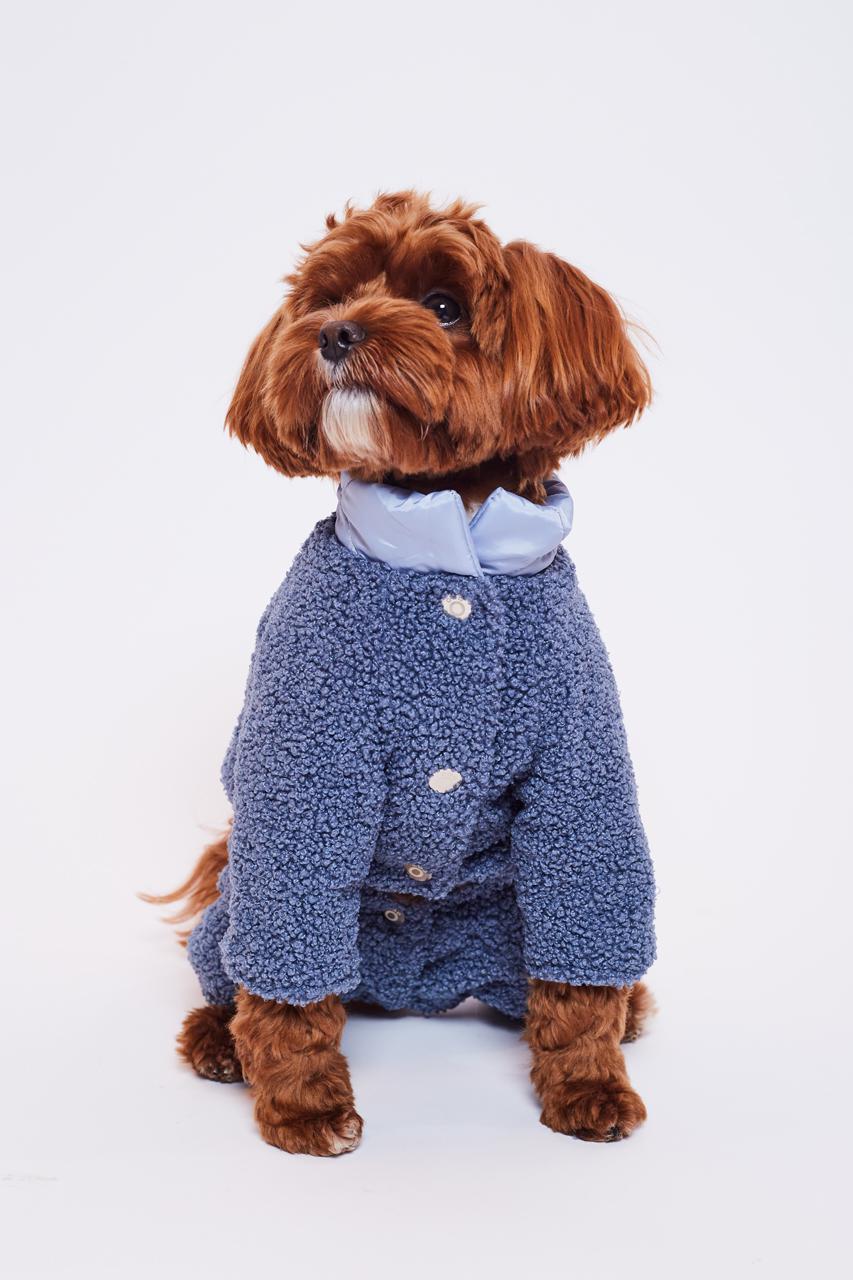 Фото: Hug me dog