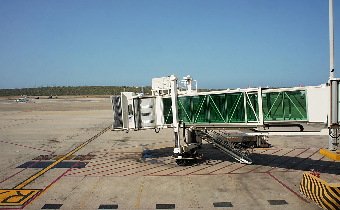 Johanna Wallace / Shutterstock