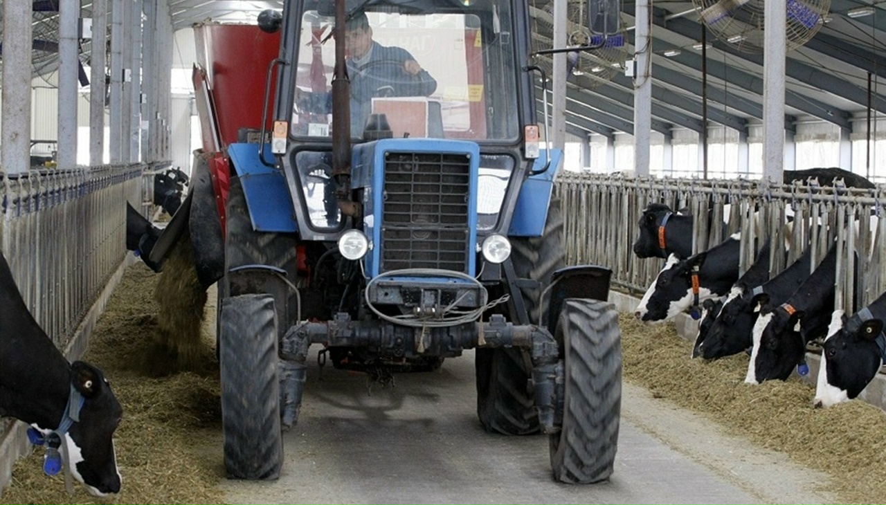 Фото: министерство сельского хозяйства и продовольственных ресурсов Вологодской области 