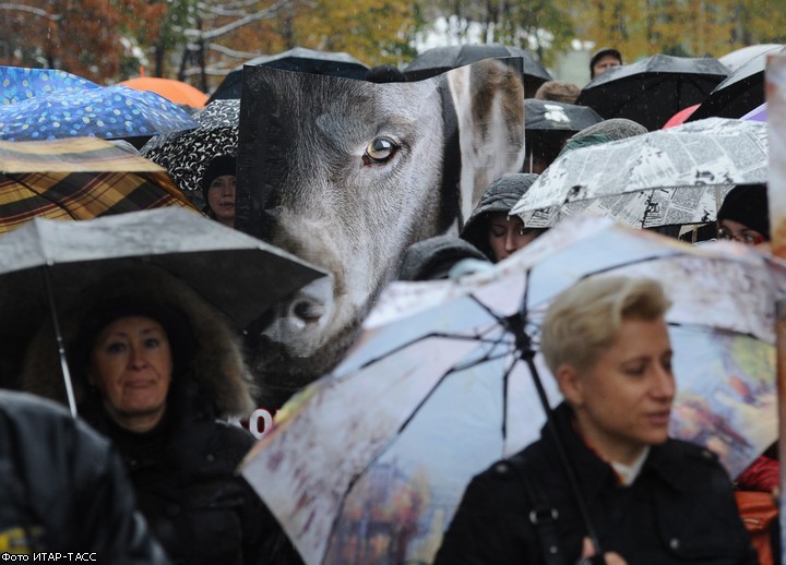 Митинг против живодеров в Москве собрал сотни человек
