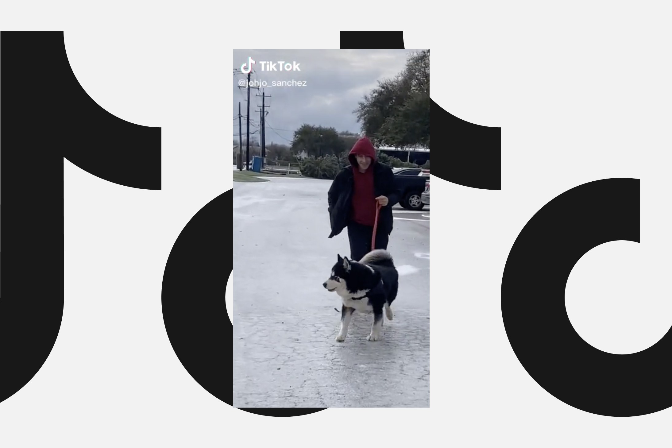 Фото: TikTok 