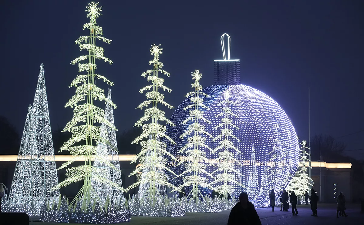 Андрей Любимов / РБК