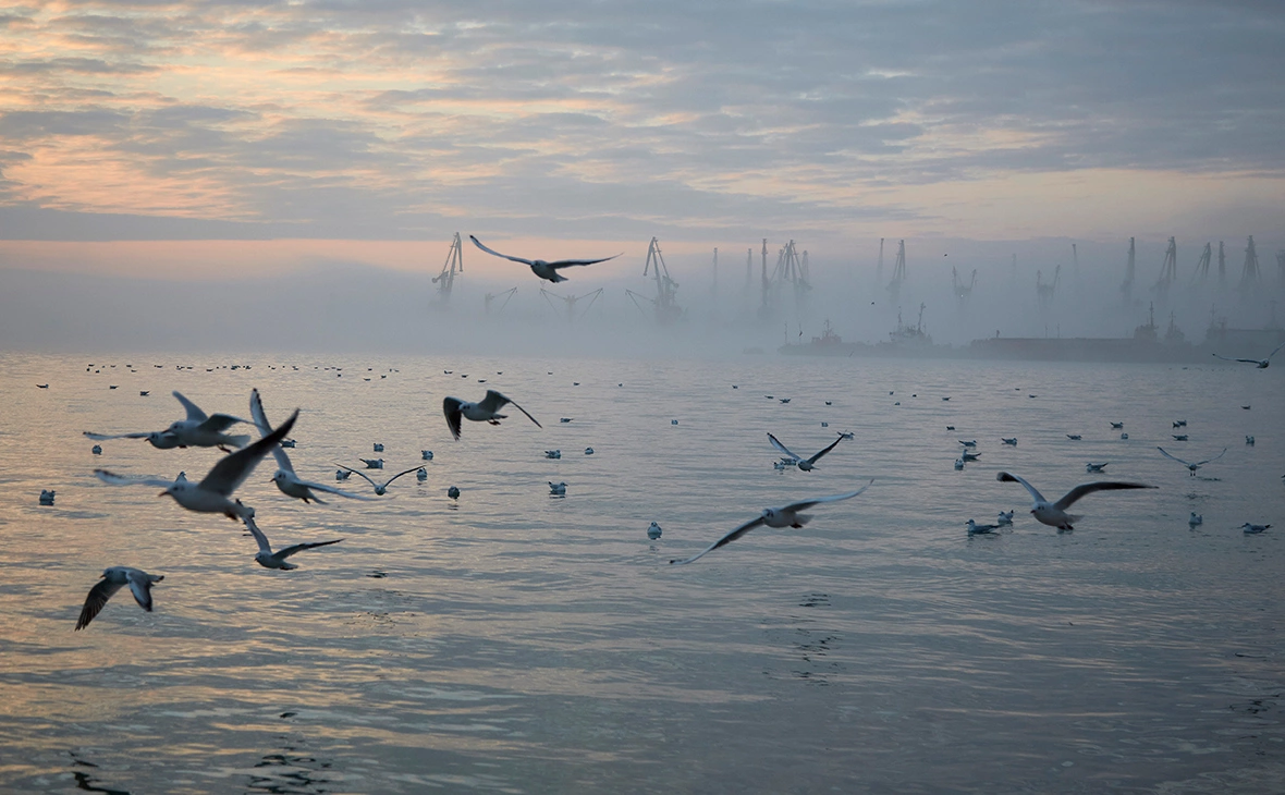 Pierre Crom / Getty Images