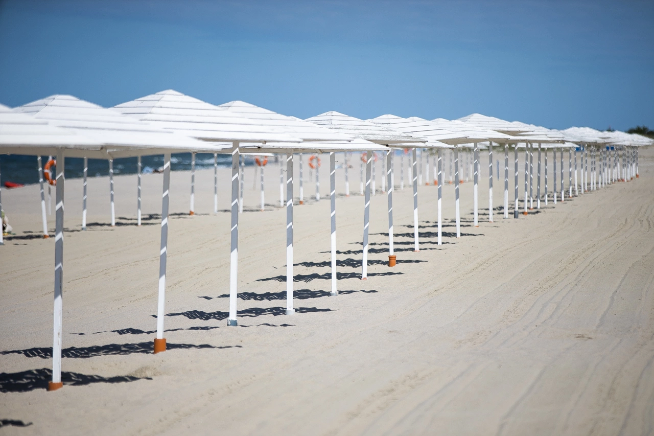 Александр Подгорчук