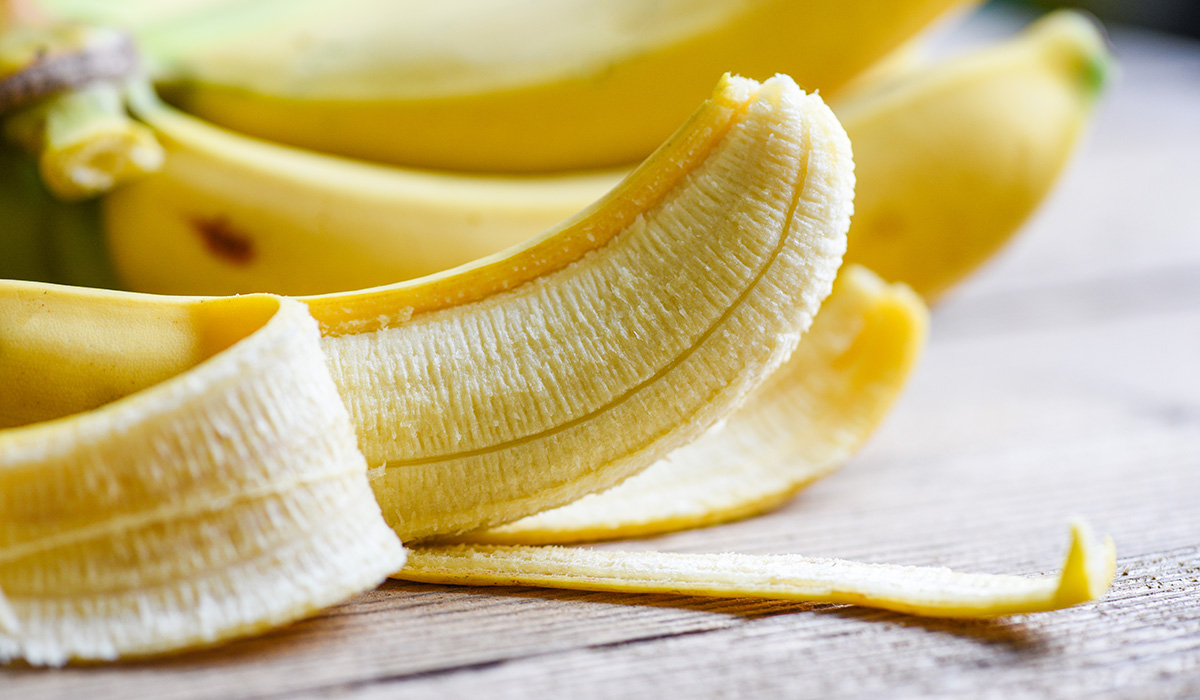 Альтернативы для любителей рыбы