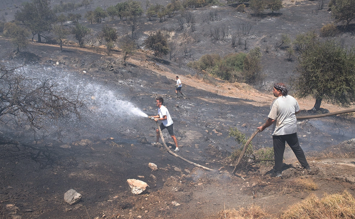 Murat Kocabas / Reuters