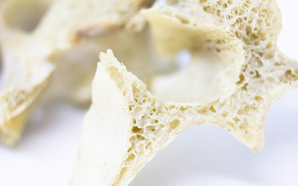 Фото: Shutterstock