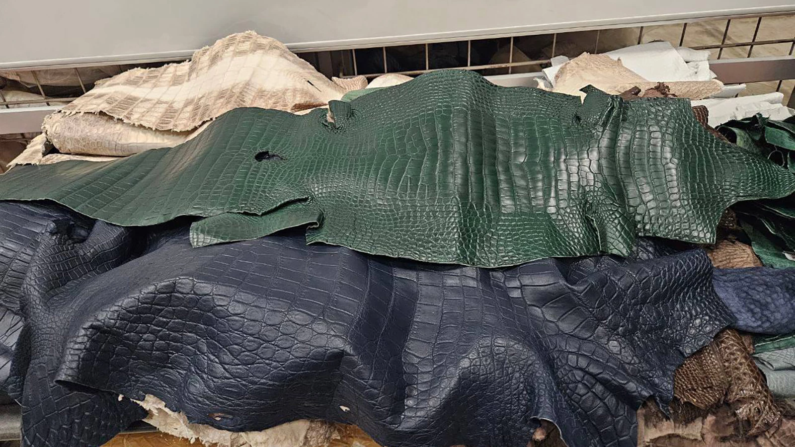 Обнаруженные таможней шкуры крокодилов