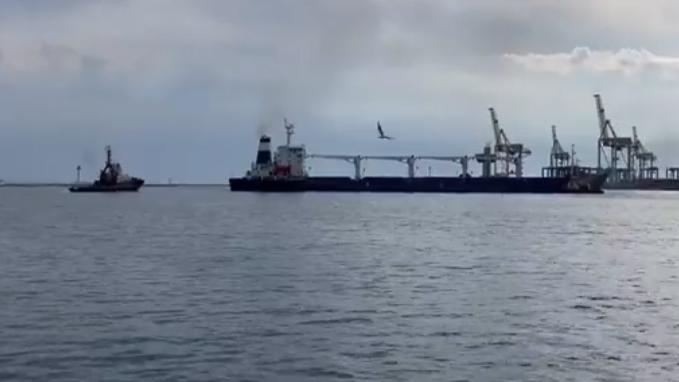 Как из Одессы вышло в море первое судно по «зерновой сделке». Видео