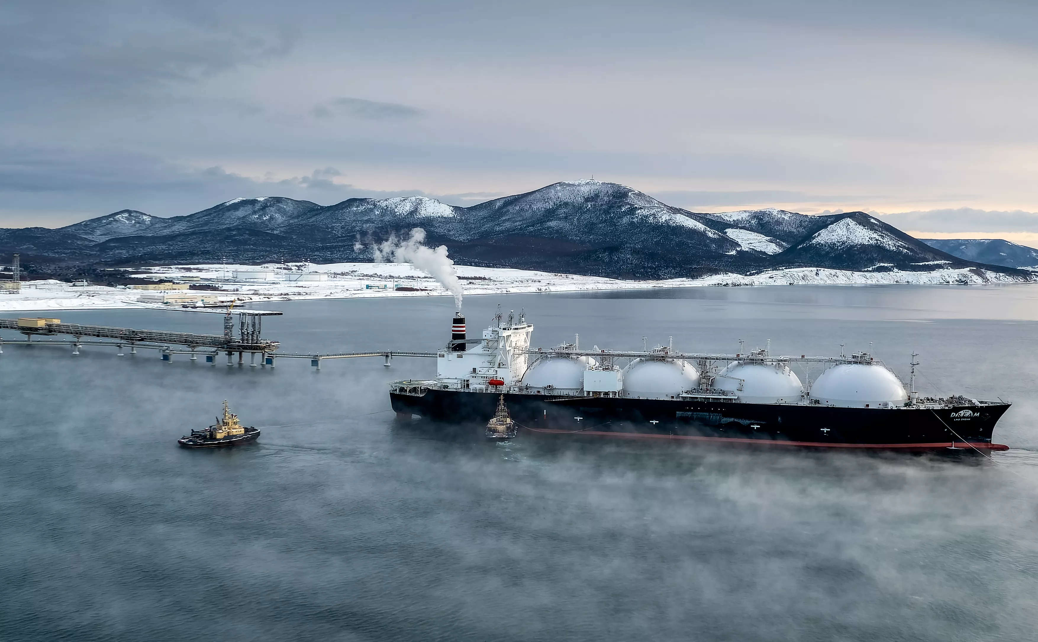 Сергей Красноухов / ТАСС