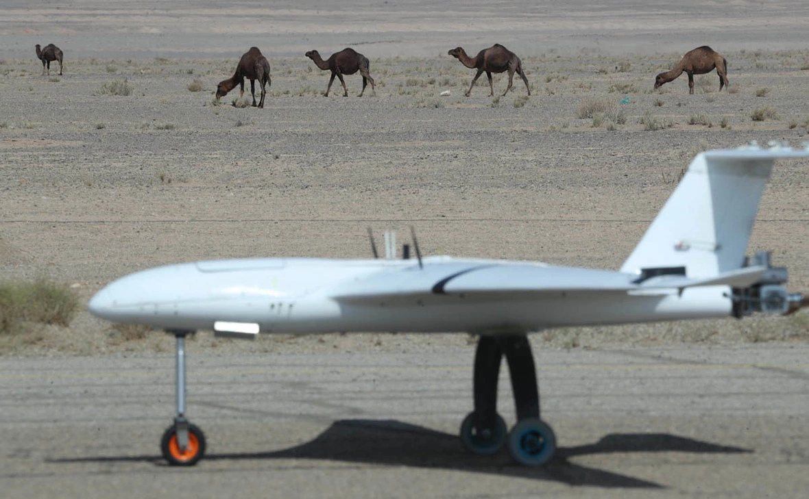 Iranian Army Office / Global Look Press