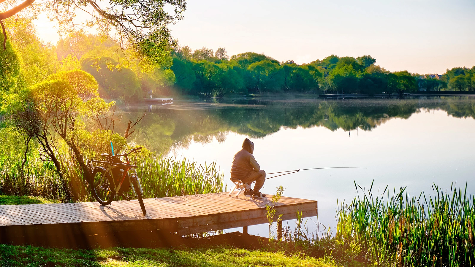 vaalaa / Shutterstock / FOTODOM