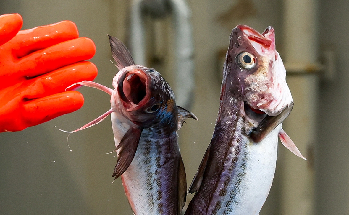  Юрий Смитюк / ТАСС