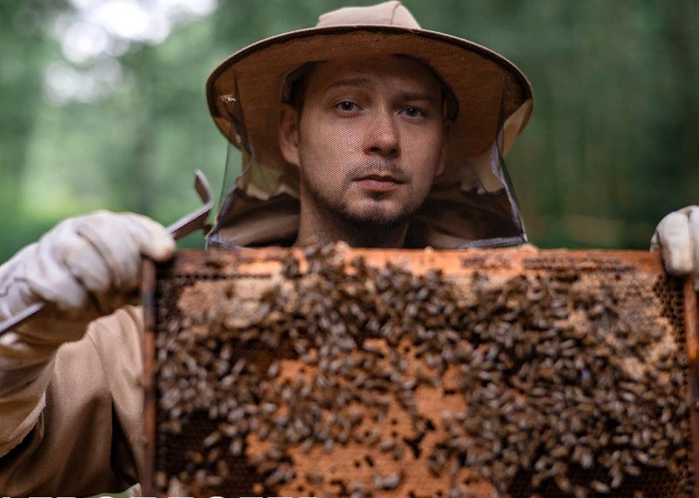 Вологжанин вошел в тройку лучших агроблогеров России