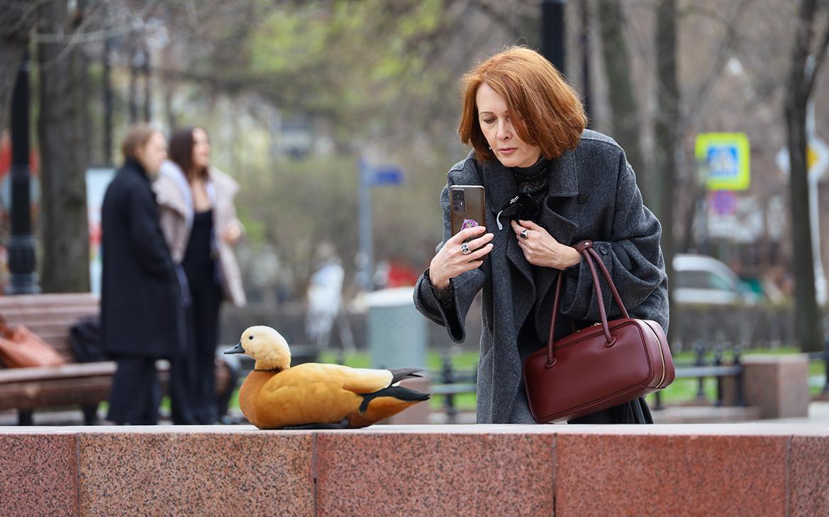 Синоптик сообщил о волне тепла в Москве, за которой последует похолодание