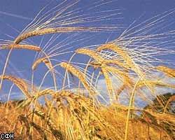 Сельхозпроизводители получат компенсации за рост цен на ГСМ   