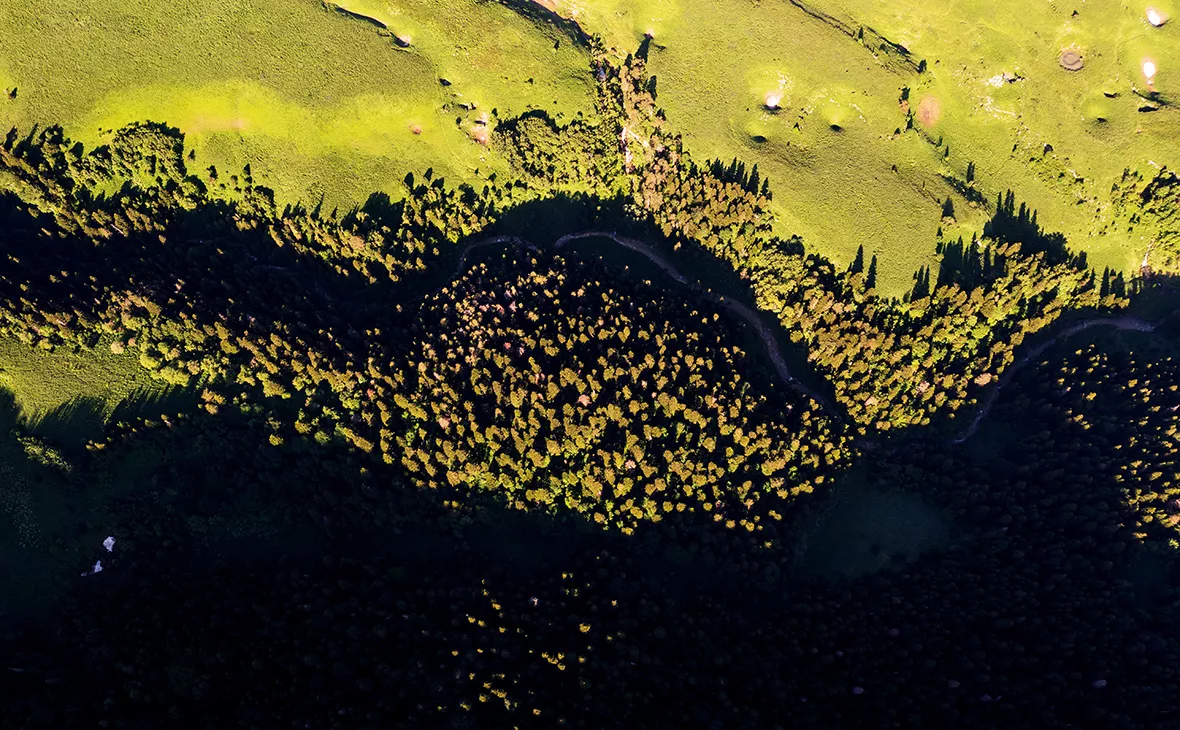 Виталий Тимкив / РИА Новости