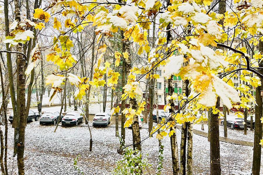 Последствия первого снегопада в Москве. Фоторепортаж