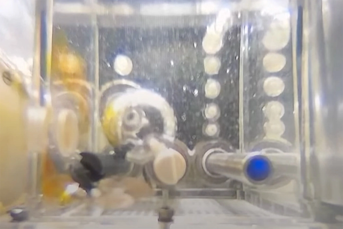 <p>Специальный аквариум для рыбок данио на борту китайской космической станции</p>