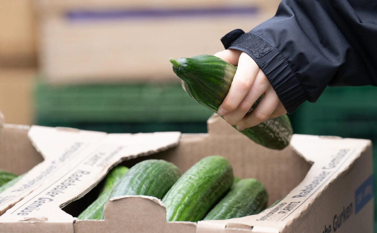 Sebastian Kahnert / dpa / Global Look Press