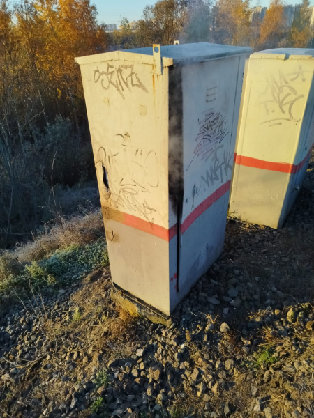 Фото: УТ МВД по Северо-Западному федеральному округу