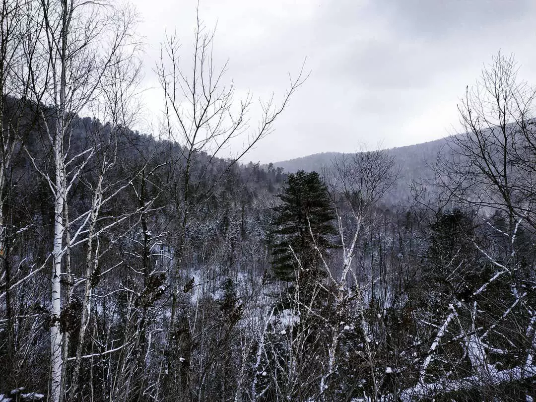 РБК Приморье