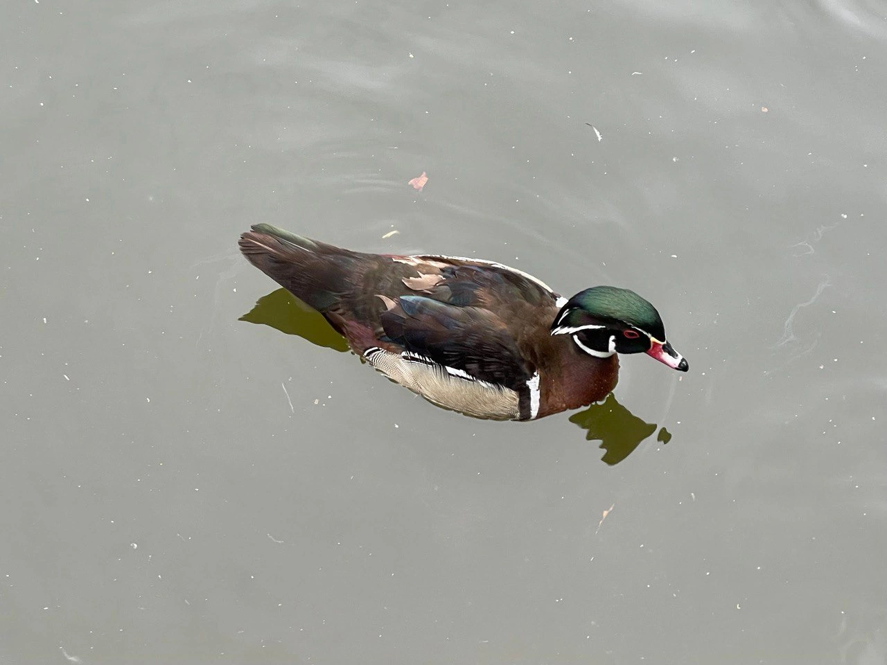 РБК Приморье