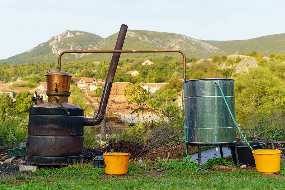 Miljan Zivkovic / Shutterstock / FOTODOM