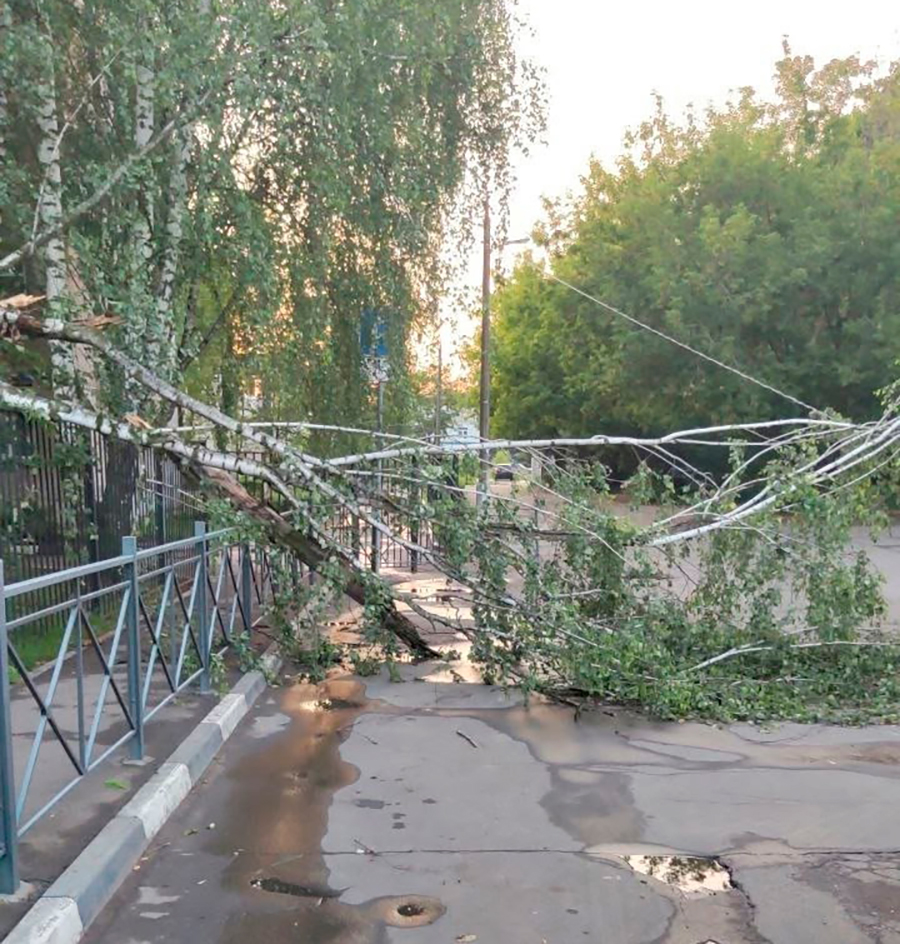 Фото: МСК (Москва и Подмосковье) / VK