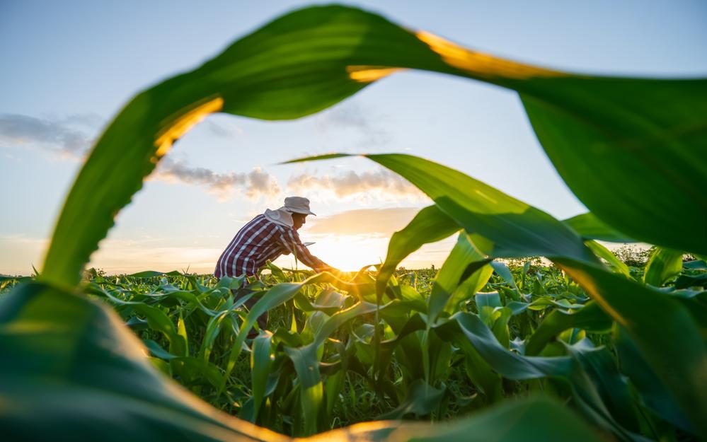 Фото: Shutterstock