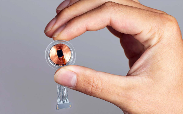 Первый чип компании Neuralink был внедрен в мозг человека в январе 2024 года. Тестируемые импланты позволяют управлять компьютером и девайсами благодаря нейронным сигналам. Фото: Neuralink