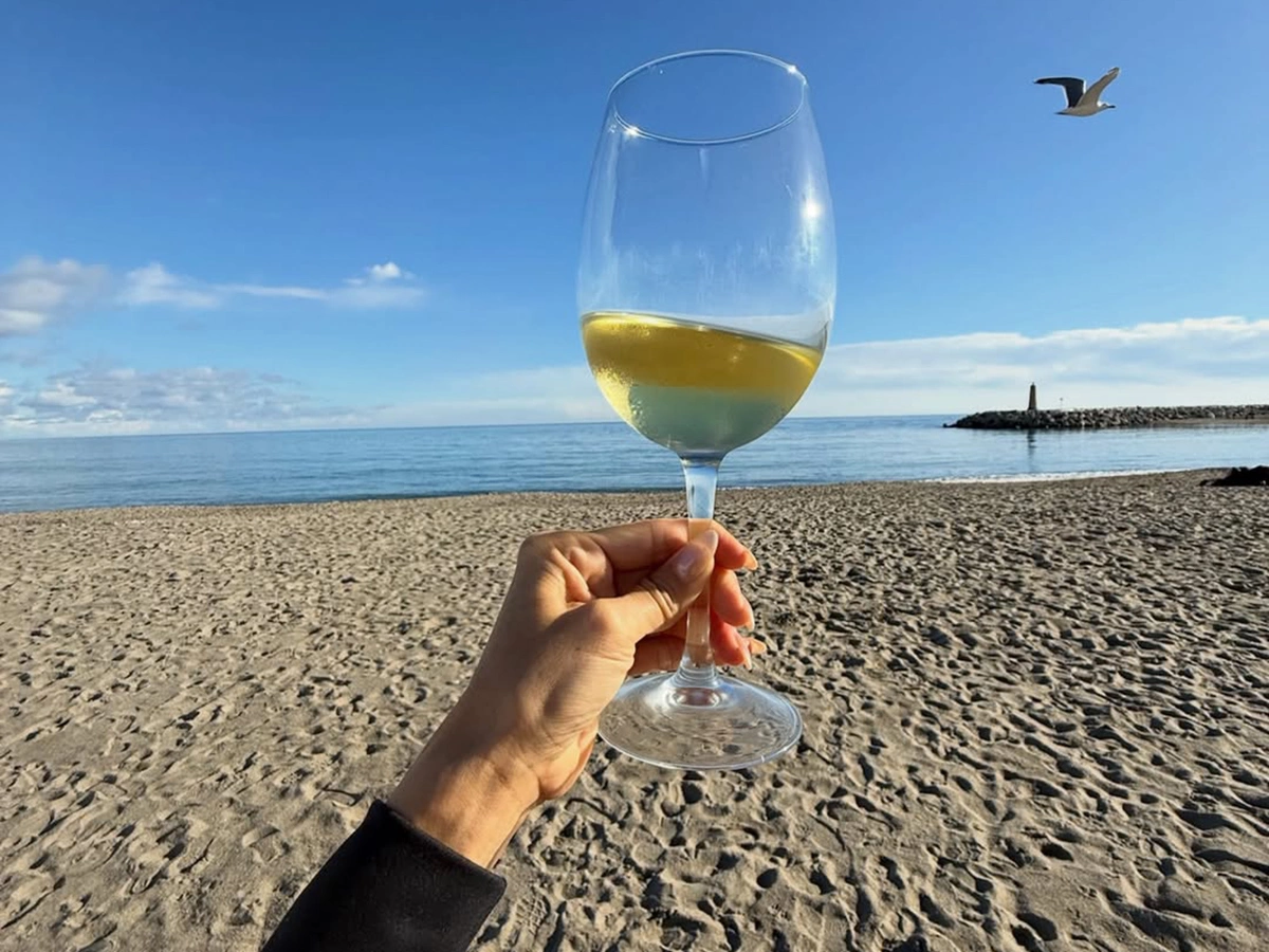 Что в бокалах у звезд: новогодние напитки знаменитостей