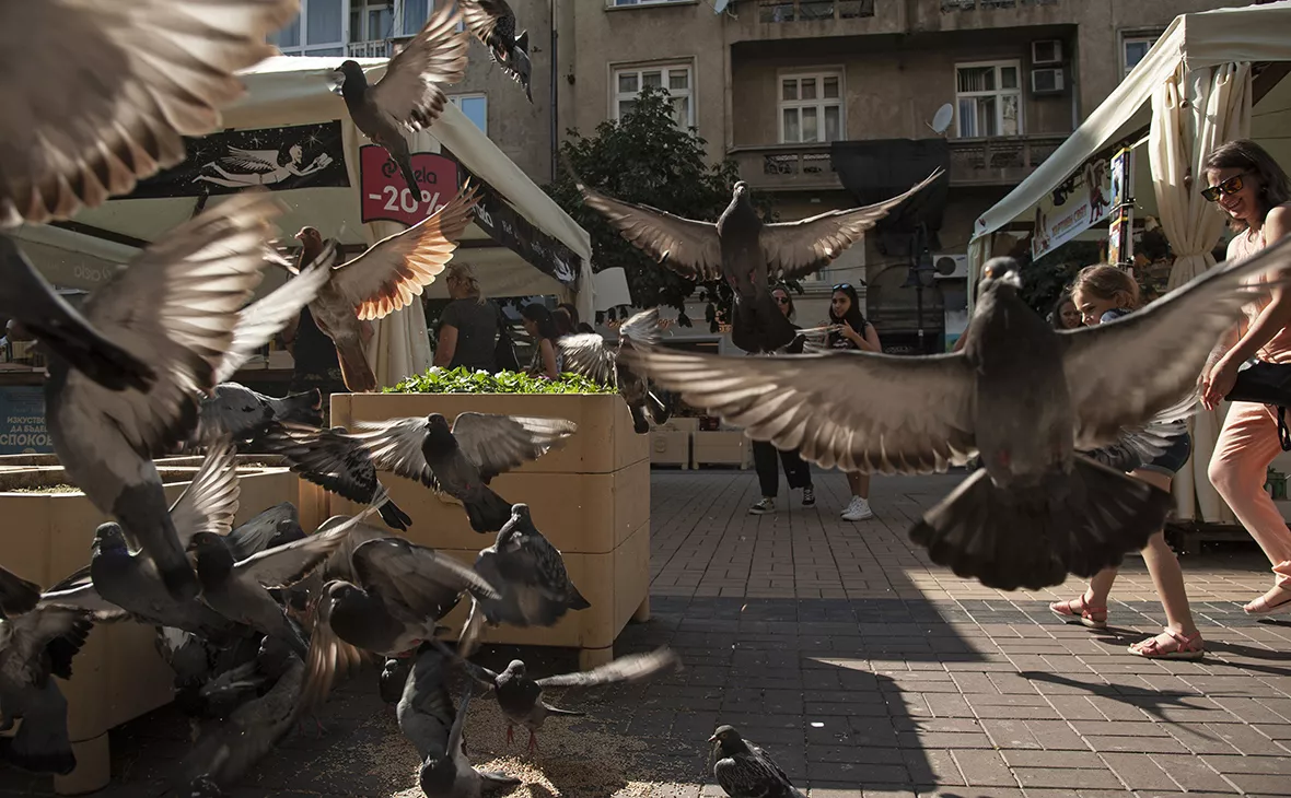 Hristo Rusev / Getty Images