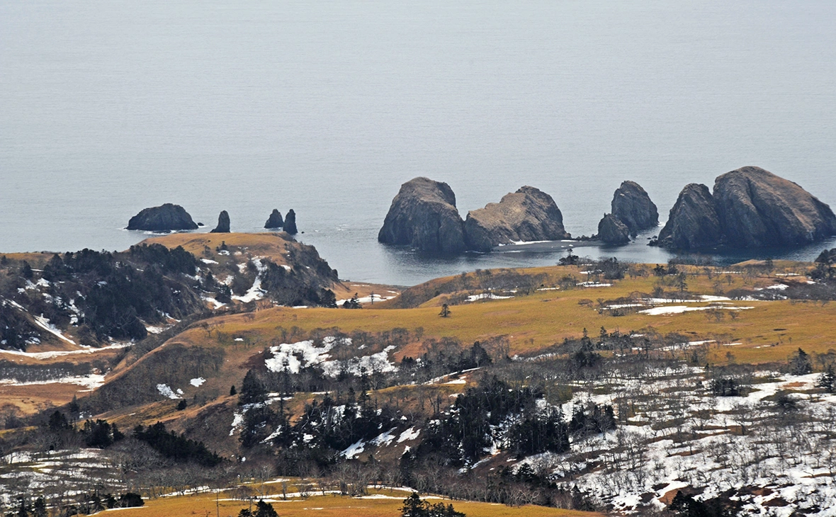 Андрей Зима / РИА Новости