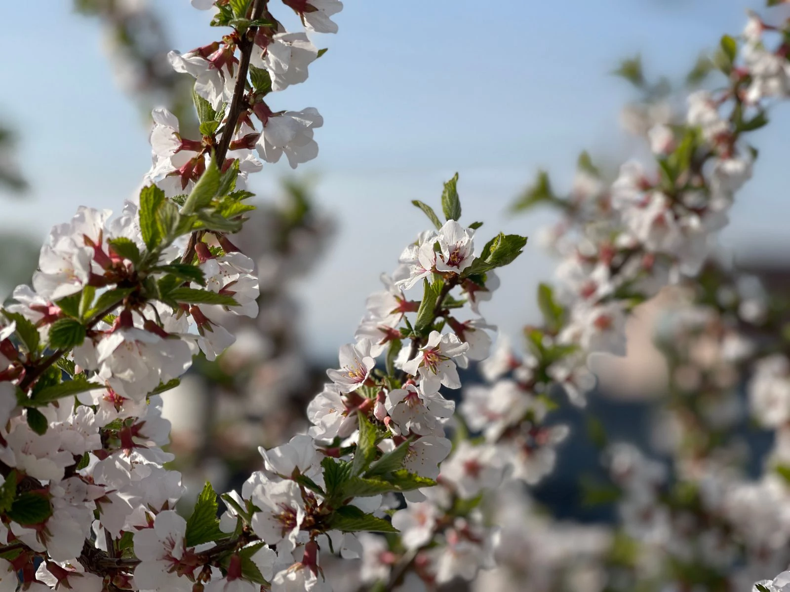 РБК Приморье