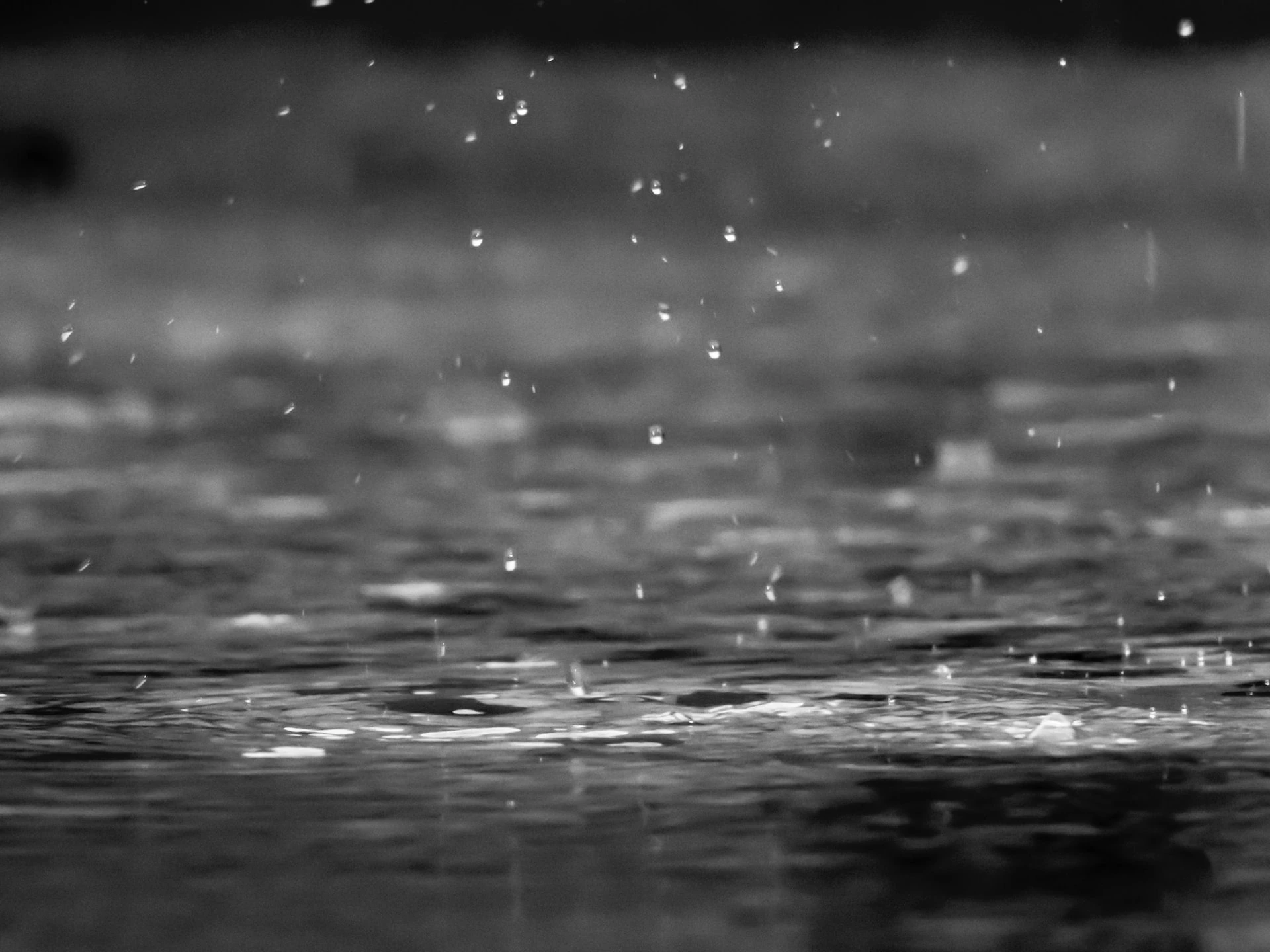 unsplash.com