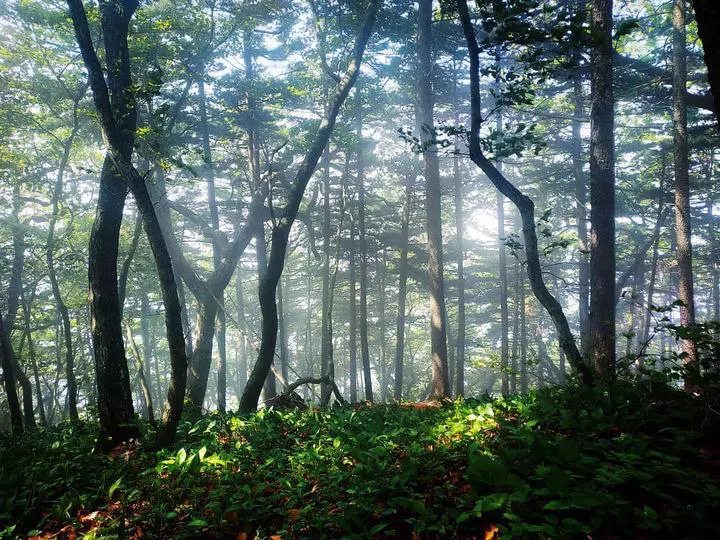 РБК Приморье