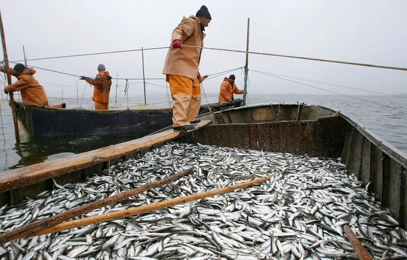 Правительство РФ