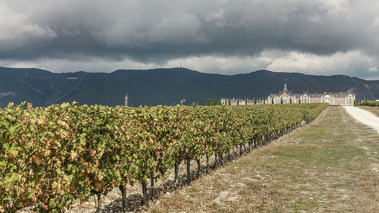 Отдых для гедониста: каким было мероприятие РБК и «Ростелекома»