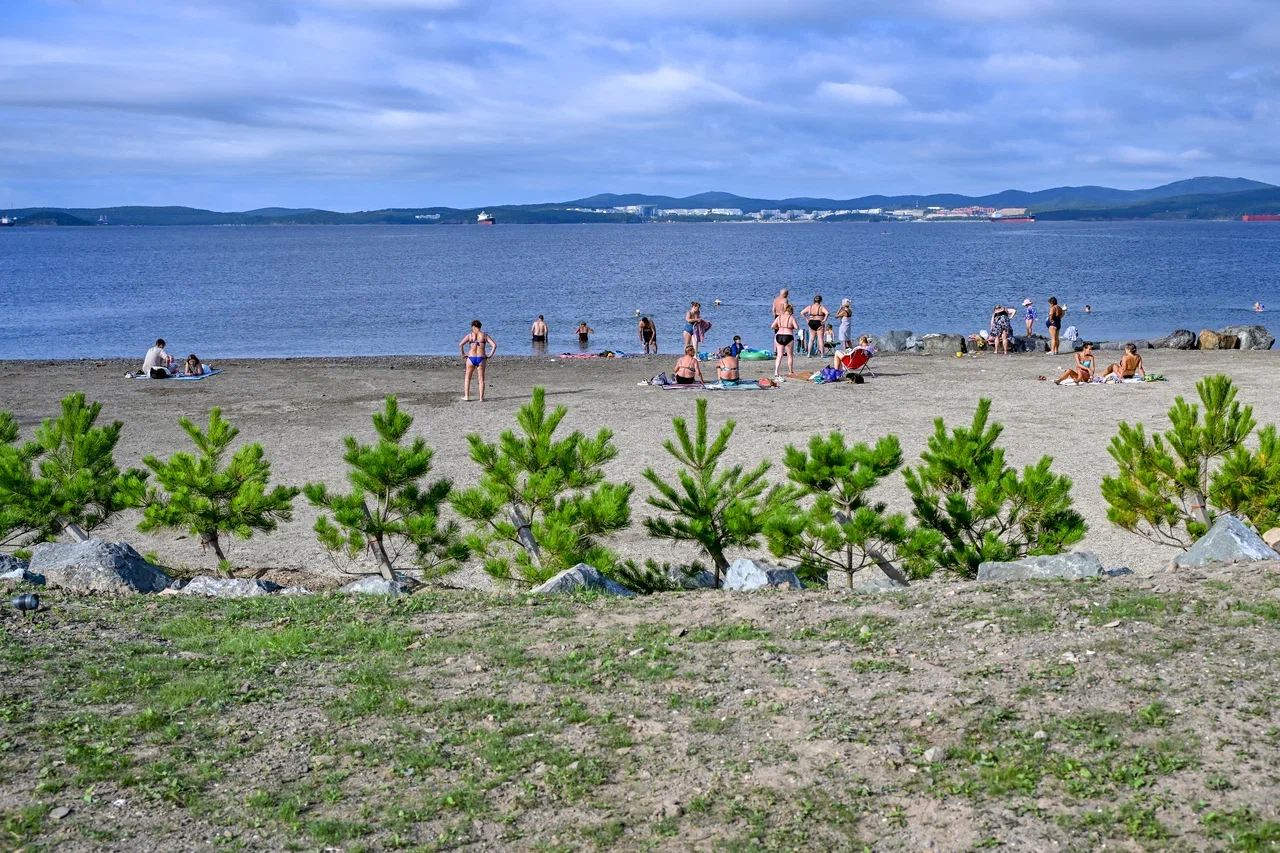 Фото: РБК Приморье