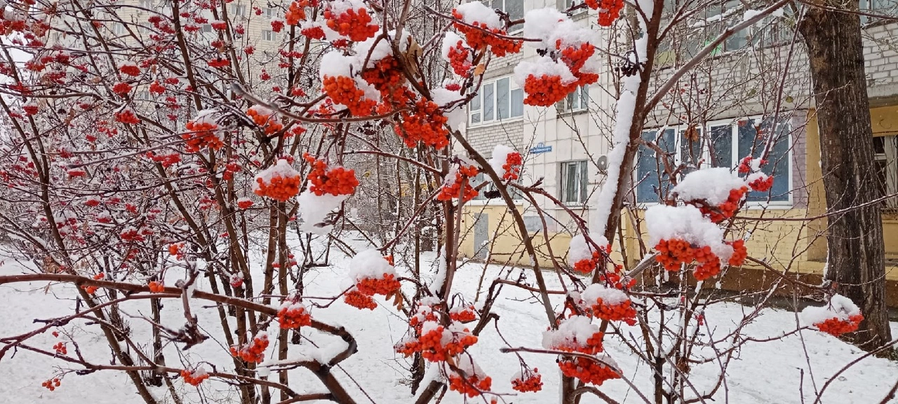 Светлана Садырина / РБК Тюмень