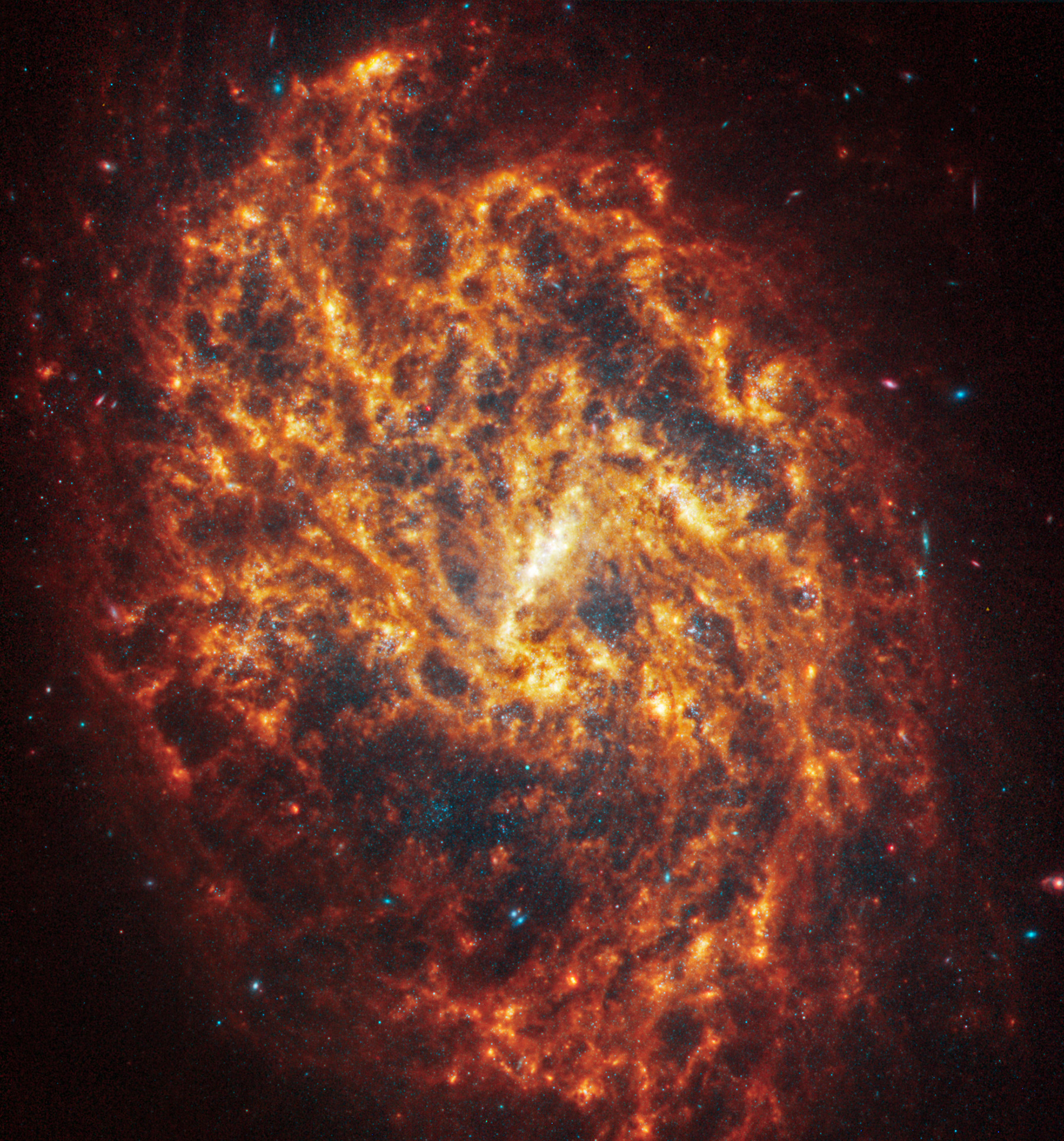 Спиральная галактика NGC 1087 в созвездии Кит. Находится на расстоянии 80 млн световых лет от Земли