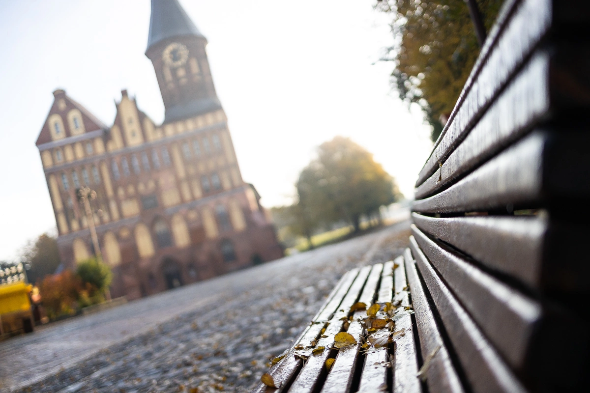 Александр Подгорчук