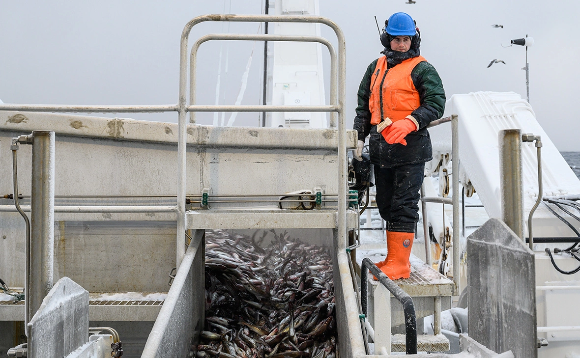 Сергей Красноухов / РИА Новости