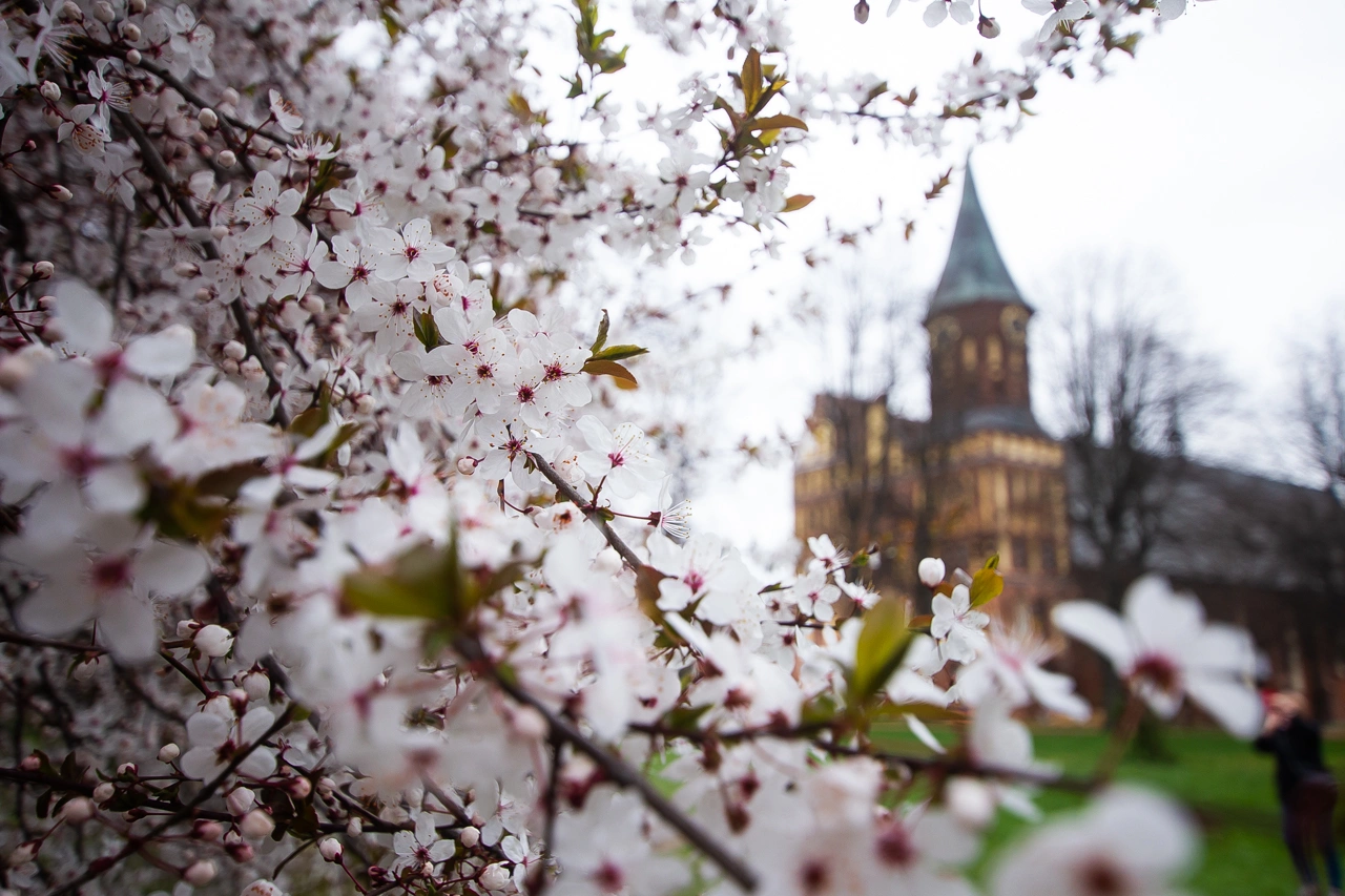 Александр Подгорчук
